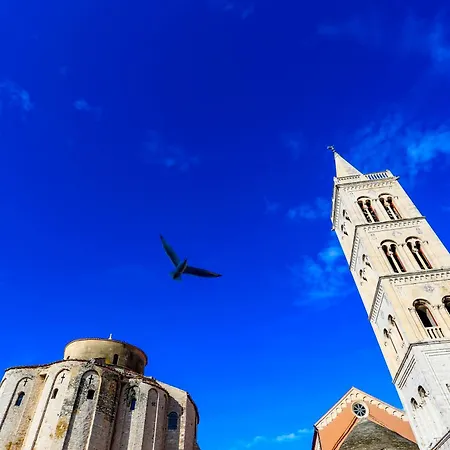 Ryanair's Urban Flat In Zadar-kolovare